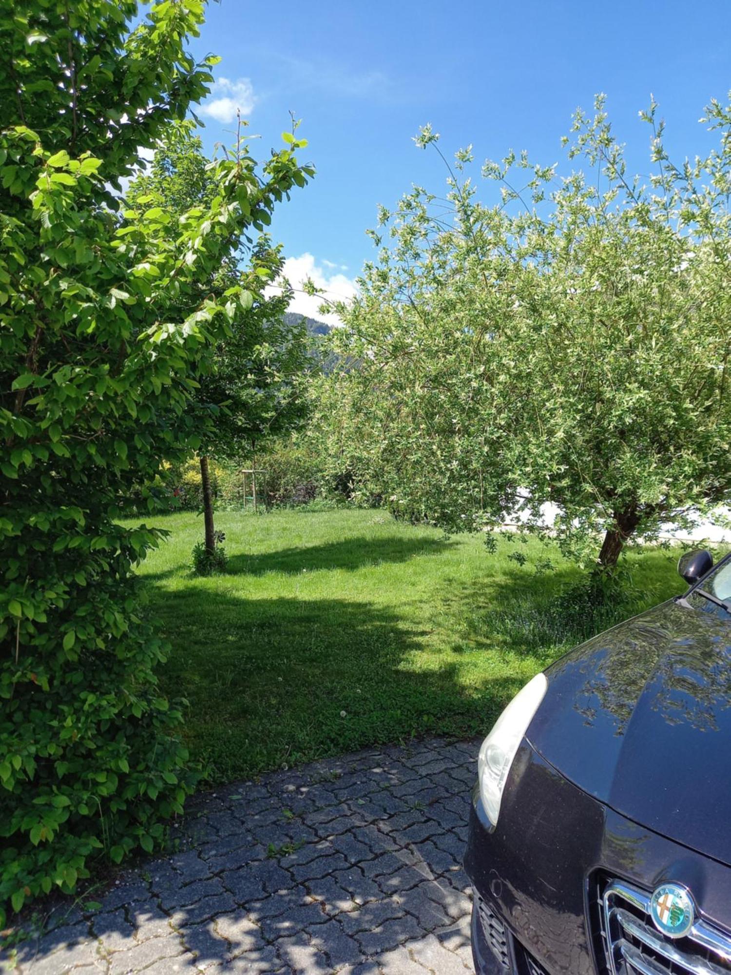 Flores, Ferienhaus Oder Doppelzimmer, Im Gruenen, 5 Gehminuten Ins Zentrum, Parkplatz, Zero Emissions Bad Ischl Kültér fotó