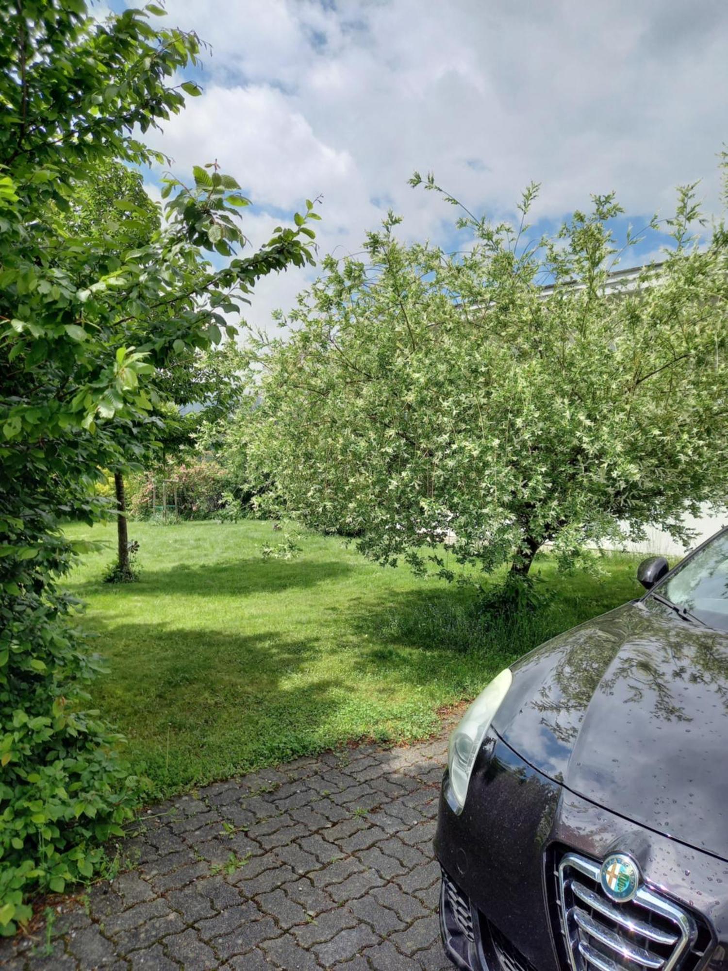 Flores, Ferienhaus Oder Doppelzimmer, Im Gruenen, 5 Gehminuten Ins Zentrum, Parkplatz, Zero Emissions Bad Ischl Kültér fotó