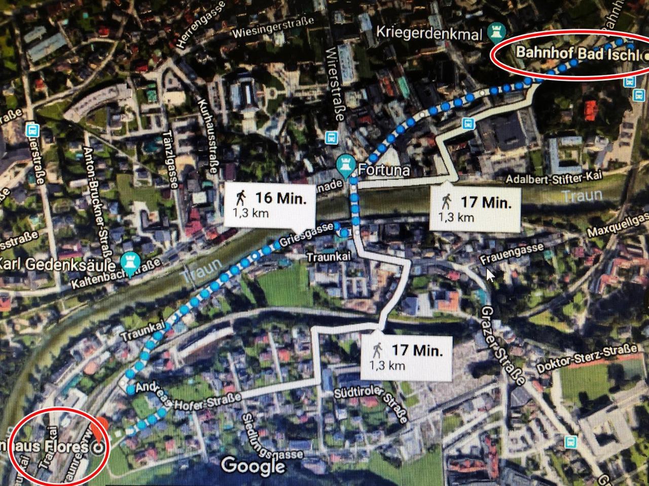 Flores, Ferienhaus Oder Doppelzimmer, Im Gruenen, 5 Gehminuten Ins Zentrum, Parkplatz, Zero Emissions Bad Ischl Kültér fotó